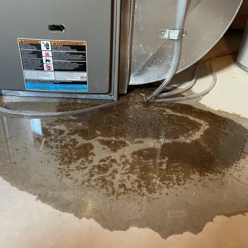 Appliance Leak Cleanup in Boca Raton, FL